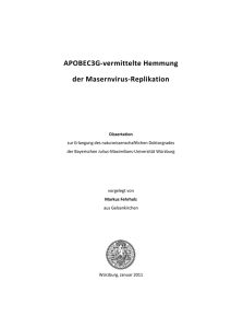 APOBEC3G-vermittelte Hemmung der Masernvirus