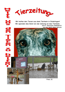 Wir helfen den Tieren aus dem Tierheim in Düdelingen! Wir