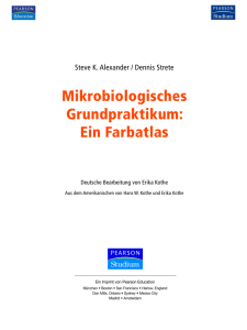 Mikrobiologisches Grundpraktikum  - *ISBN 3