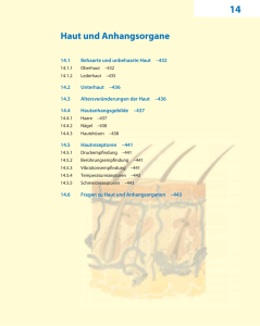 Haut und Anhangsorgane