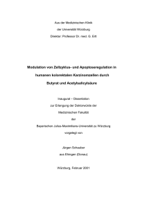 Modulation von Zellzyklus- und Apoptoseregulation in humanen