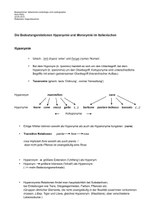 Die Bedeutungsrelationen Hyponymie und Meronymie im