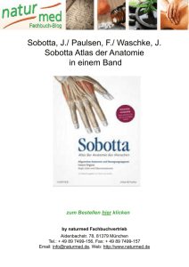 Sobotta, J./ Paulsen, F./ Waschke, J. Sobotta Atlas der Anatomie in