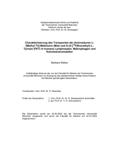 Charakterisierung des Transportes der Aminosäuren L