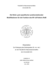 Die Rolle Lysin-spezifischer posttranslationaler Modifikationen für