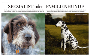 Spezialist oder Familienhund