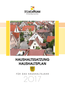 Haushaltsplan 2017 - Gemeinde Steinenbronn