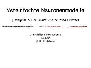 Vereinfachte Neuronenmodelle