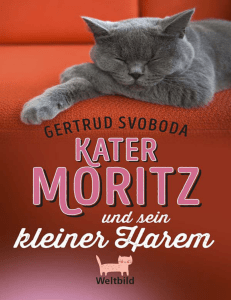 Kater Moritz und sein kleiner Harem