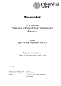 Magisterarbeit - Universität Wien