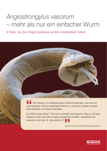 Angiostrongylus vasorum – mehr als nur ein einfacher Wurm