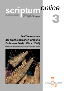 scriptum online 3: Die Tierknochen der archäologischen Grabung