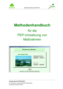 Methodenhandbuch PEP-Umsetzung