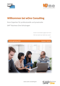 SAP Business One &ndash; Grundlagen SQL