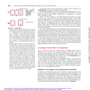 Grundlagen bakterieller Gen-Regulation