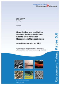 Quantitative und qualitative Analyse der oekonomischen Effekte