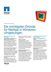 Die wichtigsten Gründe für NetApp in Windows