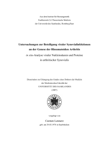 Untersuchungen zur Beteiligung viraler Synovialinfektionen an der