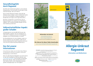 Allergie-Unkraut Ragweed