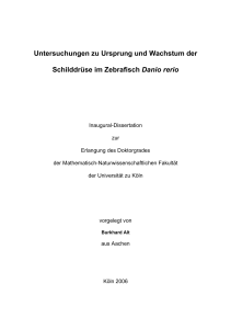 Untersuchungen zu Ursprung und Wachstum der Schilddr&uuml;se im