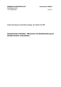 Menschen mit Sehbehinderung im Straßenverkehr unterstützen