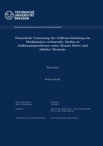 Numerische Umsetzung der Galbrun-Gleichung zur