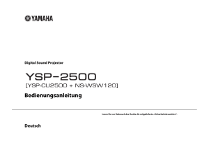 YSP-2500 Owner`s Manual