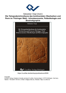 Die Tetrapodenichnofauna des kontinentalen