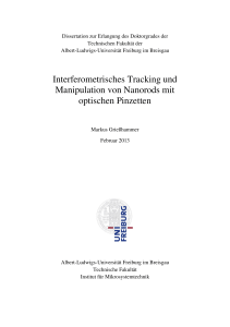 Interferometrisches Tracking und Manipulation von Nanorods mit