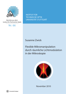 Flexible Mikromanipulation durch räumliche Lichtmodulation in der