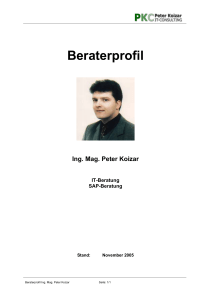 Beraterprofil - Peter Koizar IT