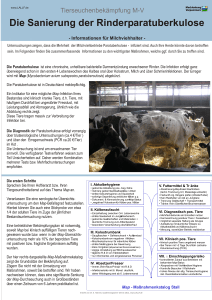 Informationen für Milchviehhalter