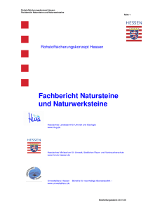 Fachbericht Natursteine und Naturwerksteine