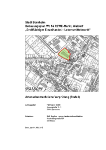 Stadt Bornheim Bebauungsplan Wd 54 REWEJMarkt, Waldorf łGro