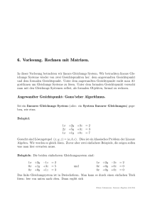 6. Vorlesung. Rechnen mit Matrizen.