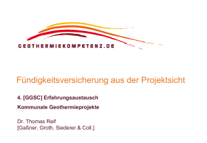 F&uuml;ndigkeitsversicherung aus der Projektsicht