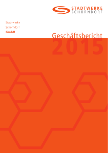 Stadtwerke Schorndorf GmbH: Geschäftbericht 2015