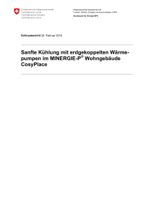 000000290177 - Bundesamt für Energie BFE