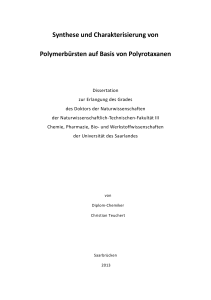 Synthese und Charakterisierung von Polymerbürsten auf Basis von