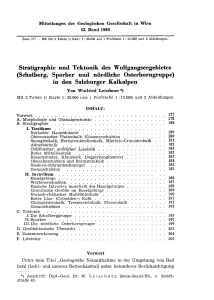 Stratigraphie und Tektonik des Wolfgangseegebietes (Schatberg