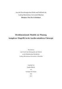 Dreidimensionale Modelle zur Planung komplexer Eingriffe in der