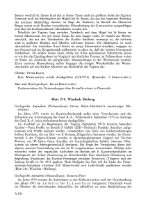 BoROVICZENY). FRANZ BoROVICZENY Blatt 211, Windisch Bleiberg