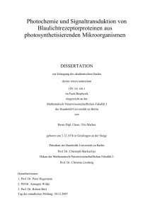 Photochemie und Signaltransduktion von Blaulichtrezeptorproteinen