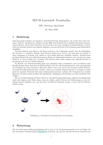 SEP`09 Lastenheft: RoombaSpy