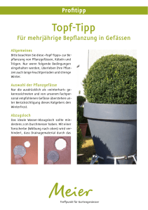 Topf-Tipp - Garten