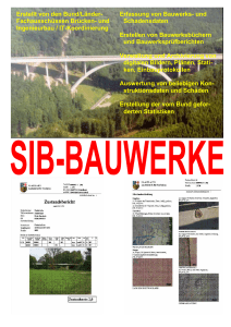 Erfassung von Bauwerks- und Schadensdaten Erstellen von