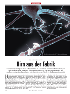 Hirn aus der Fabrik