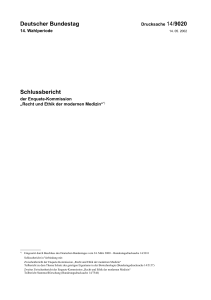 Deutscher Bundestag Schlussbericht