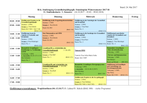 Vorläufiger Stundenplan Wintersemester 2008/09 / 1