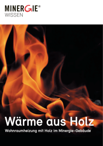 Wohnraumheizung mit Holz im Minergie